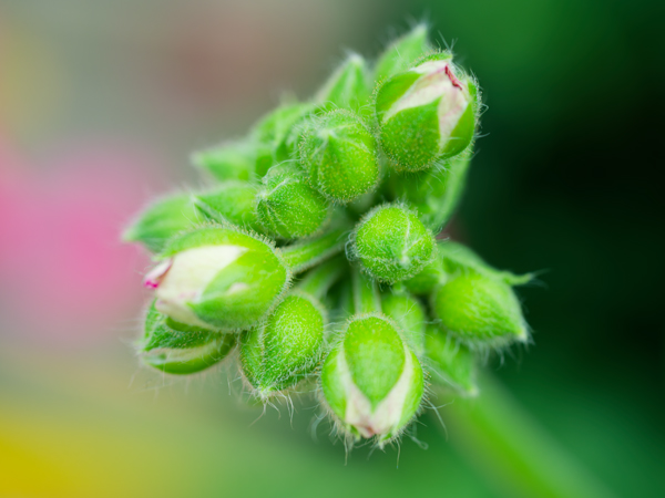 Test another Street Post!